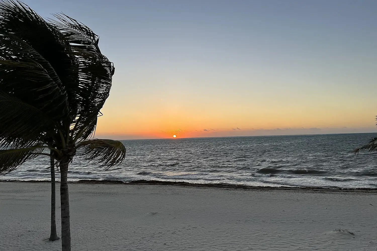 Aurelia Voyages Beach View Mexico