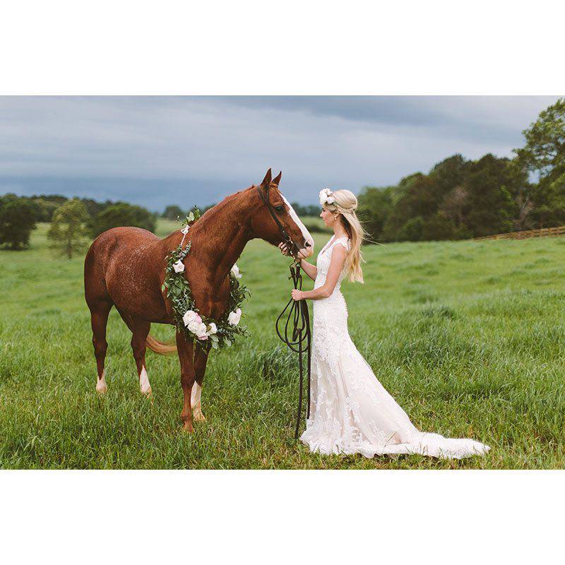 The White Magnolia bride and horse