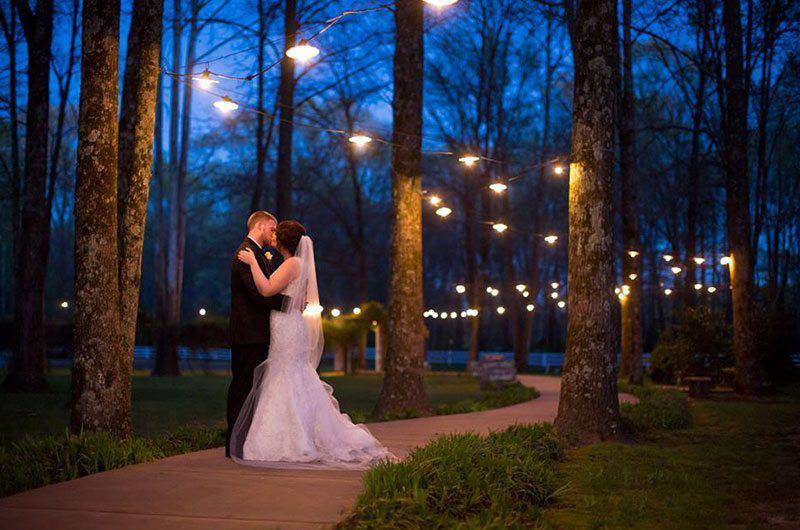 Maple Grove Farm lights feature grid image