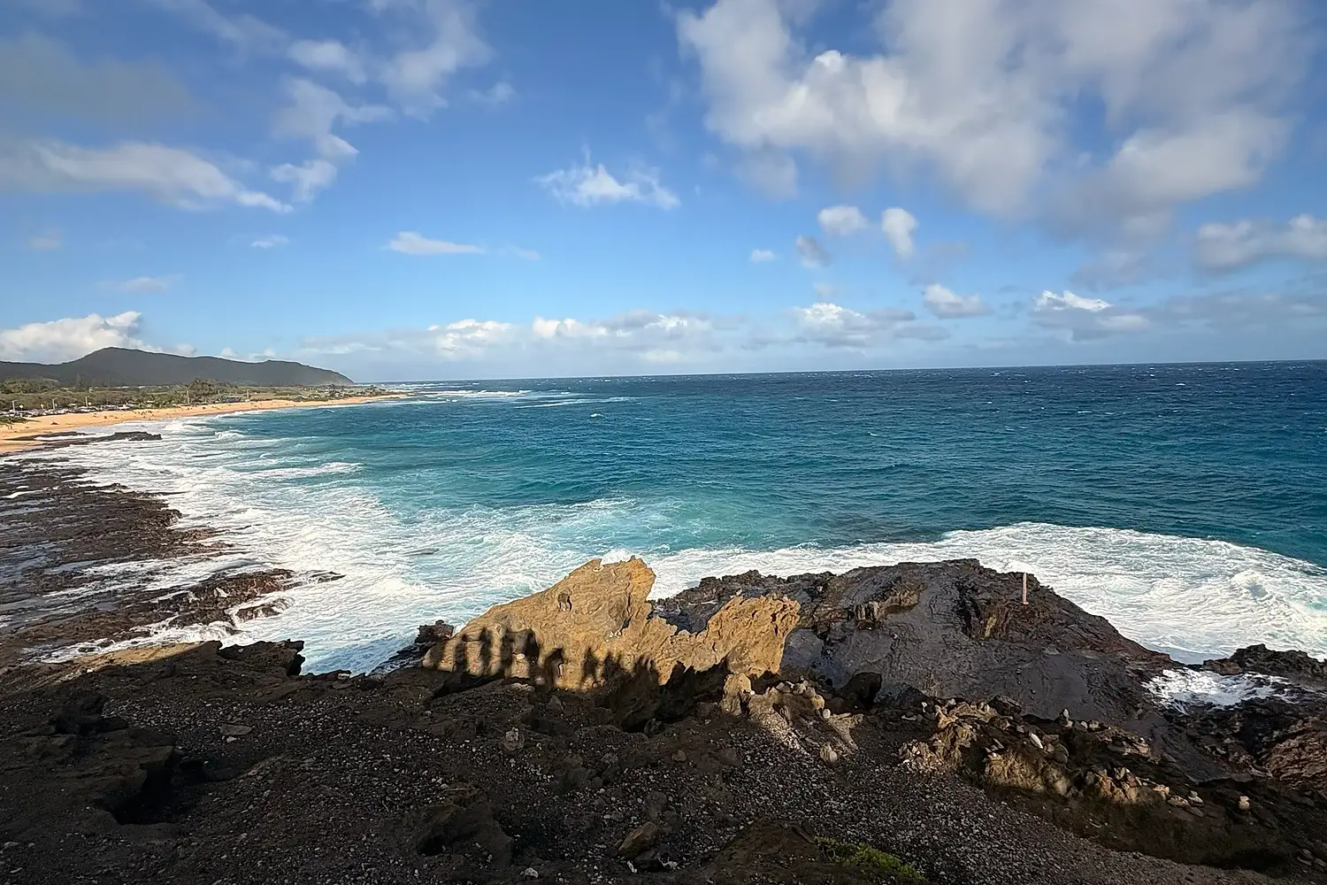 Aurelia Voyages Ocean Hawaii