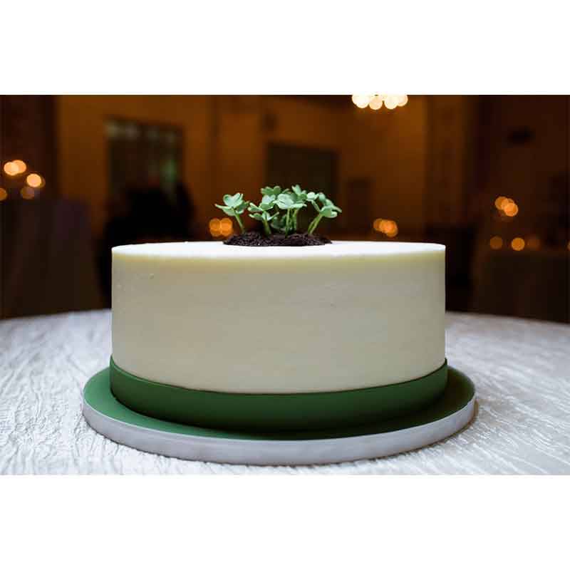 Real Wedding Rebecca Burks Hunter Coleman Cake Greens