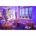 marche branch centerpieces Blue lighting