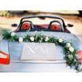 Bee's Wedding Design Car