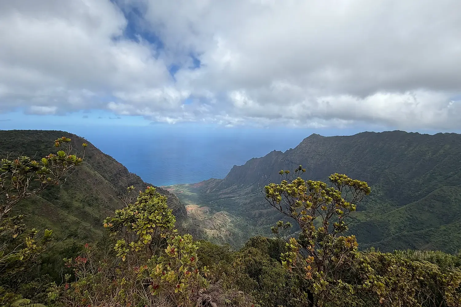 Aurelia Voyages Napali Coast Hawaii