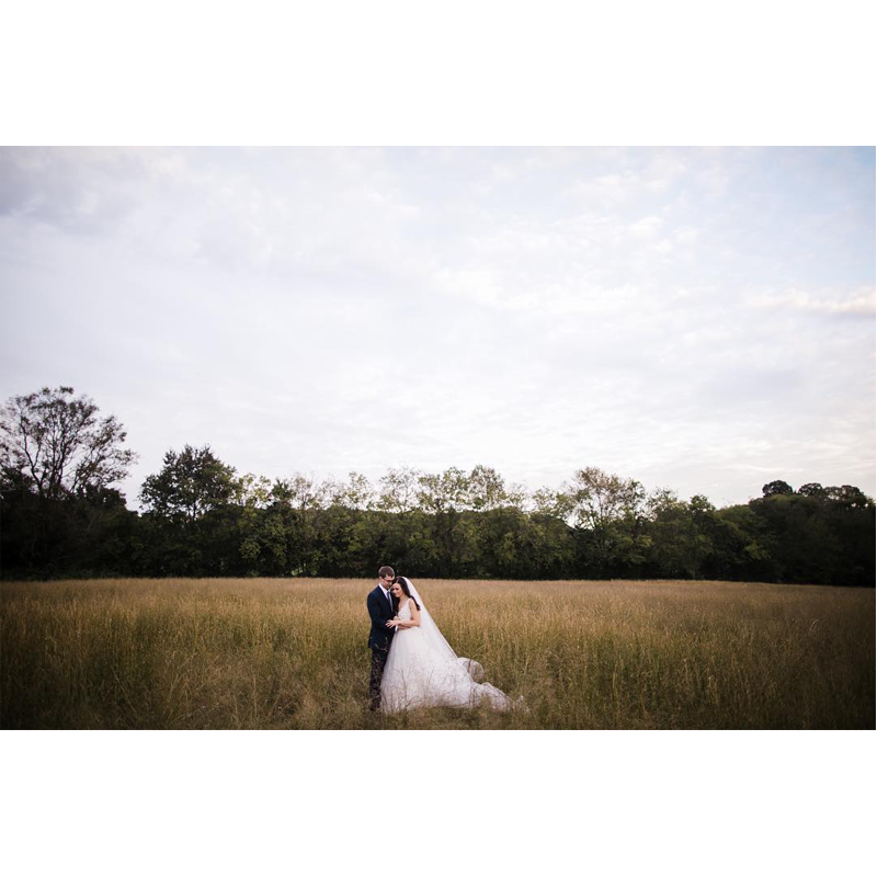 Mint Springs Farm Field