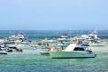 Emerald Coast Convention and Visitors Bureau boats