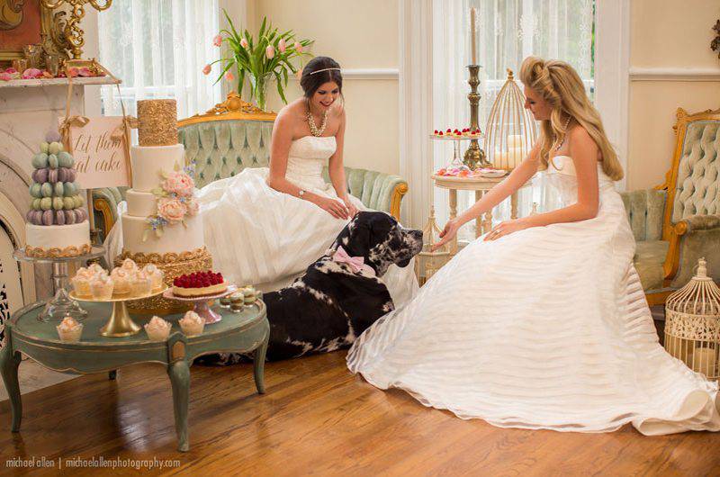 Annesdale Wedding and Events mansion interior room family dog sitting room feature grid image